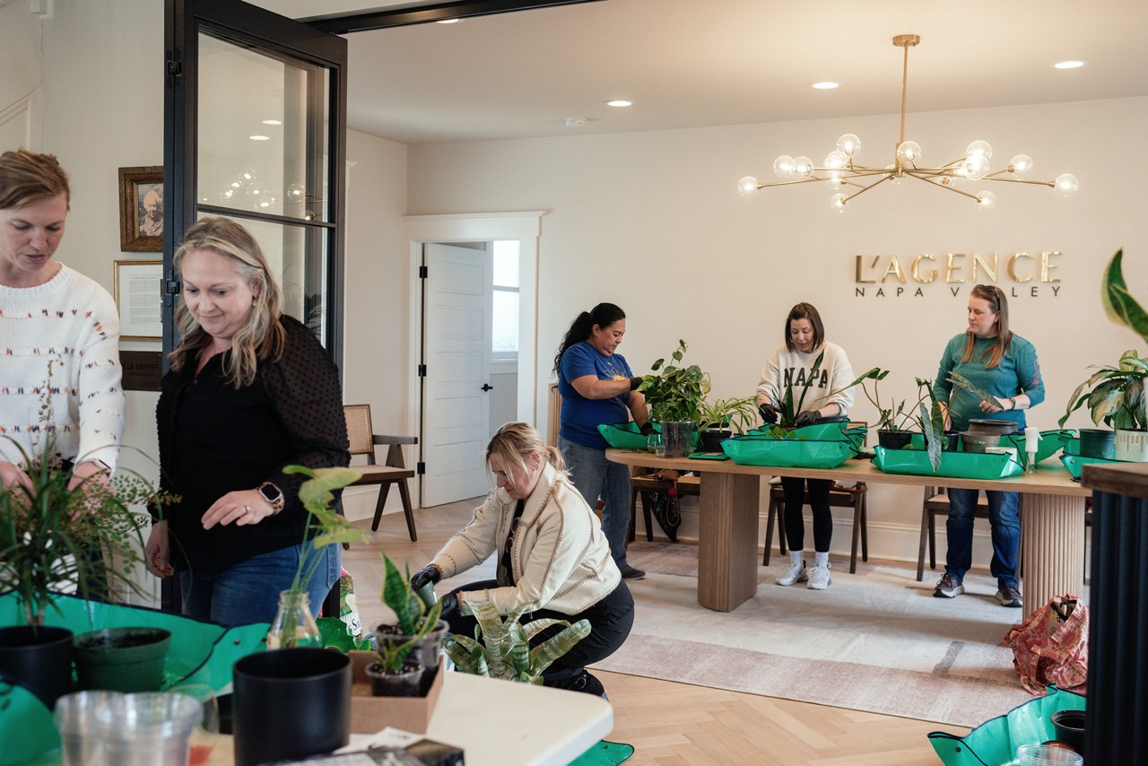 Houseplant Workshop
